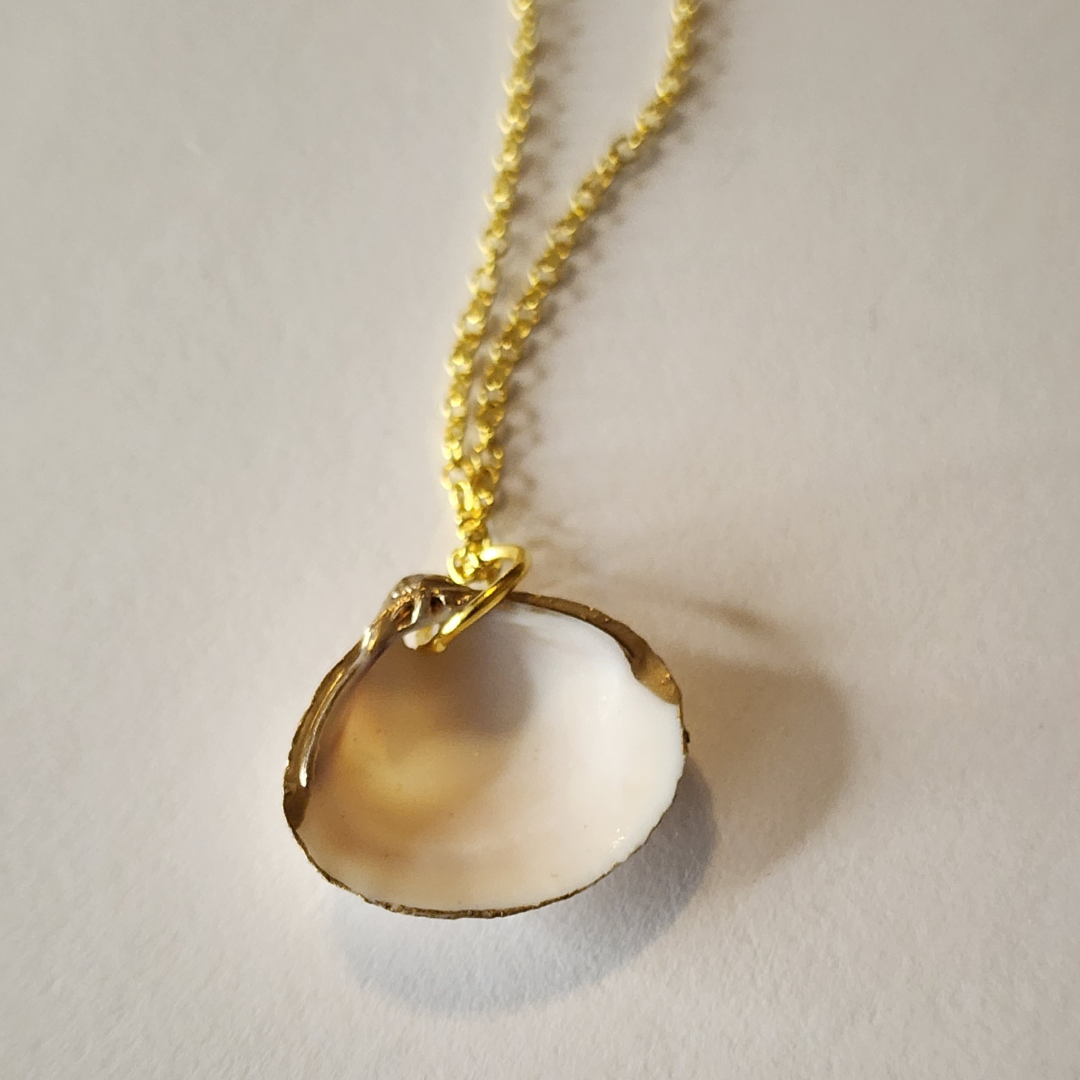 Seashell necklace