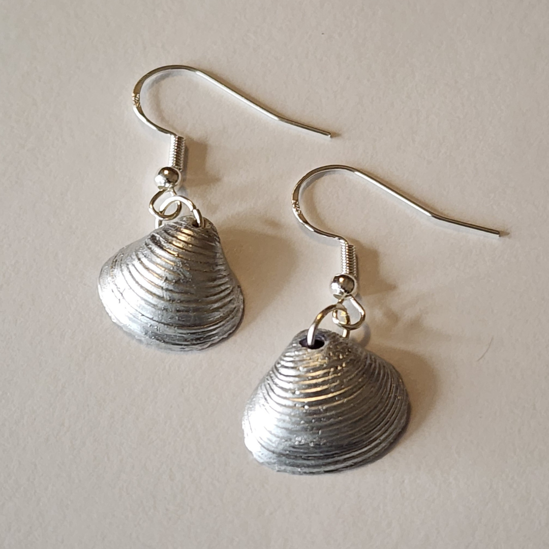 Silver seashell earrings