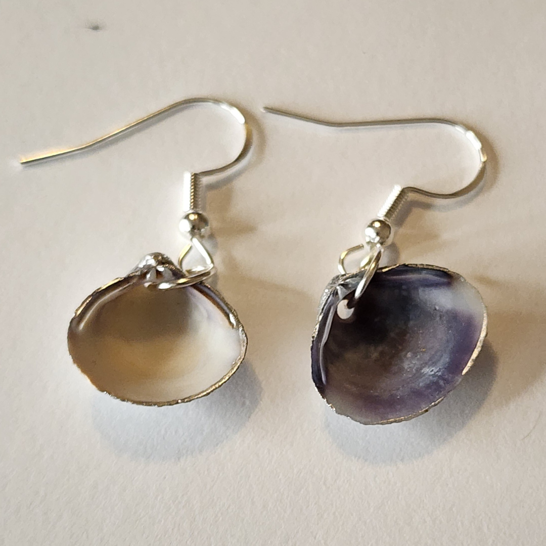 Silver seashell earrings