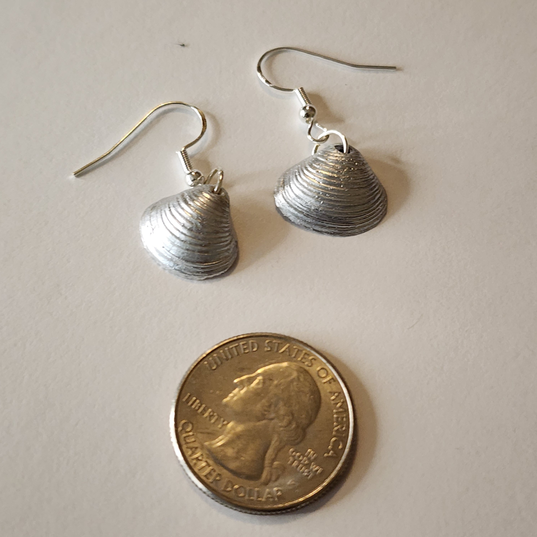 Silver seashell earrings