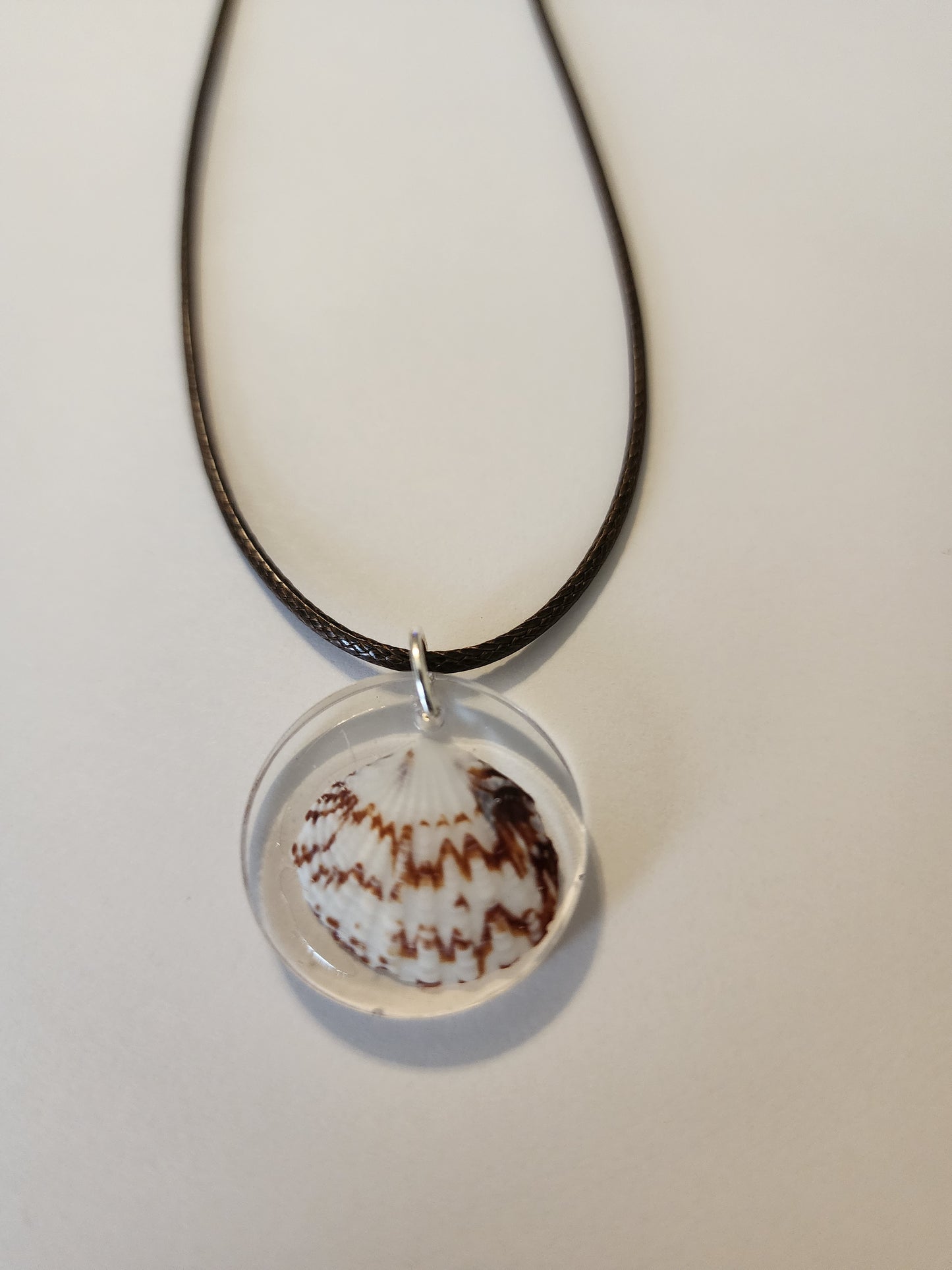Seashell Necklace