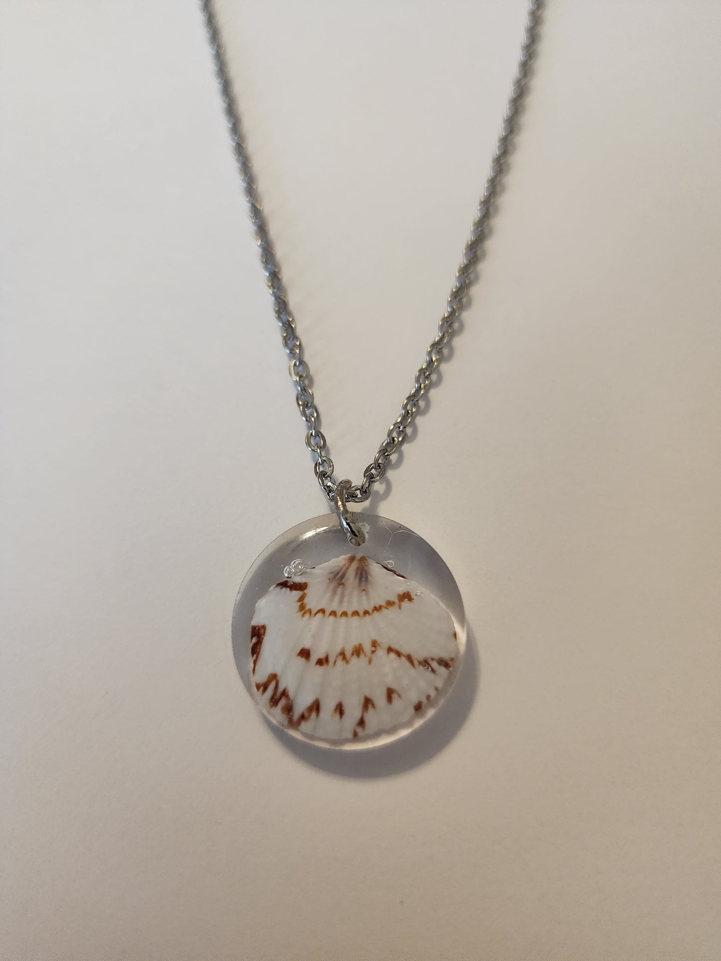 Seashell Necklace