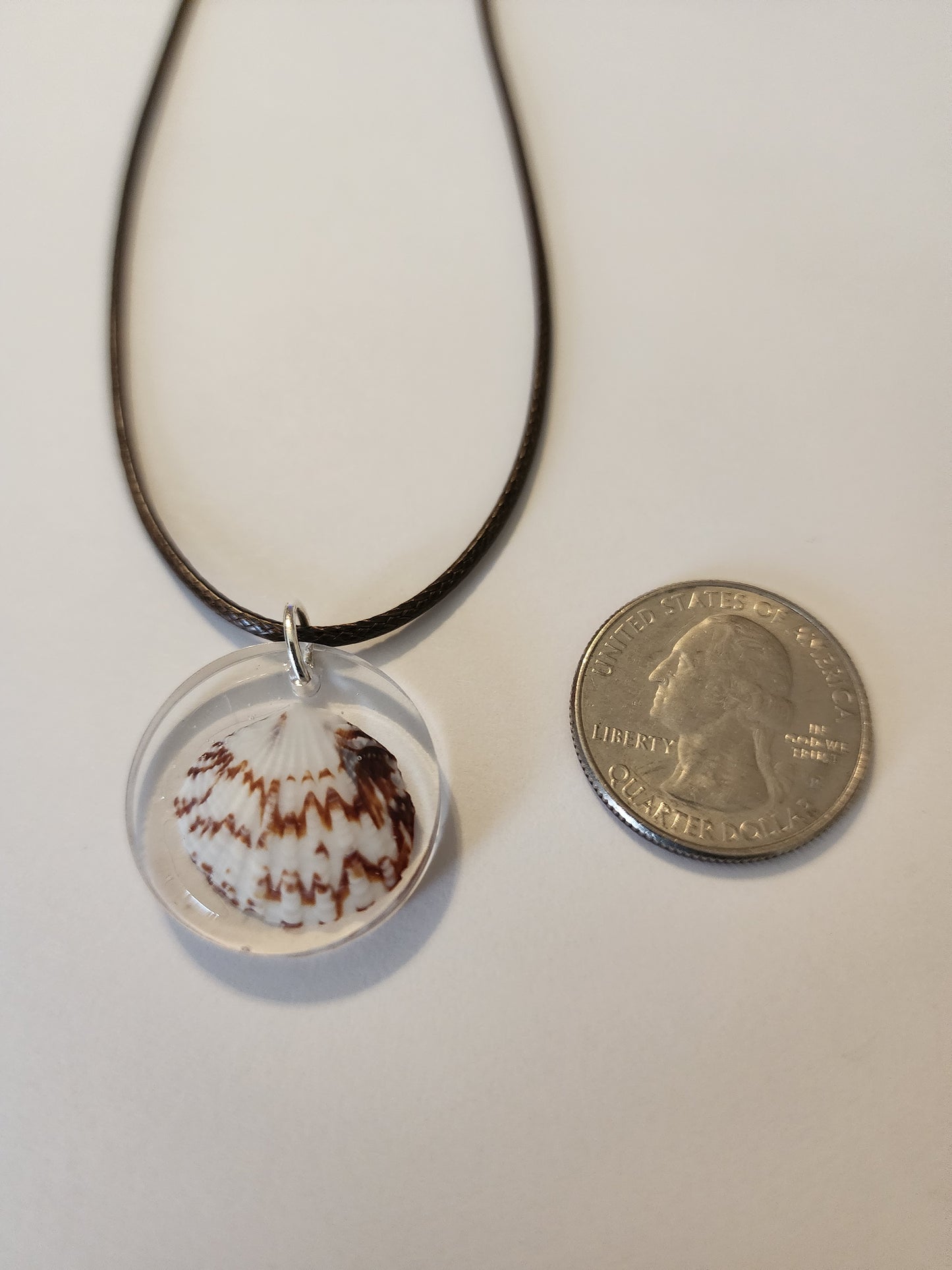 Seashell Necklace