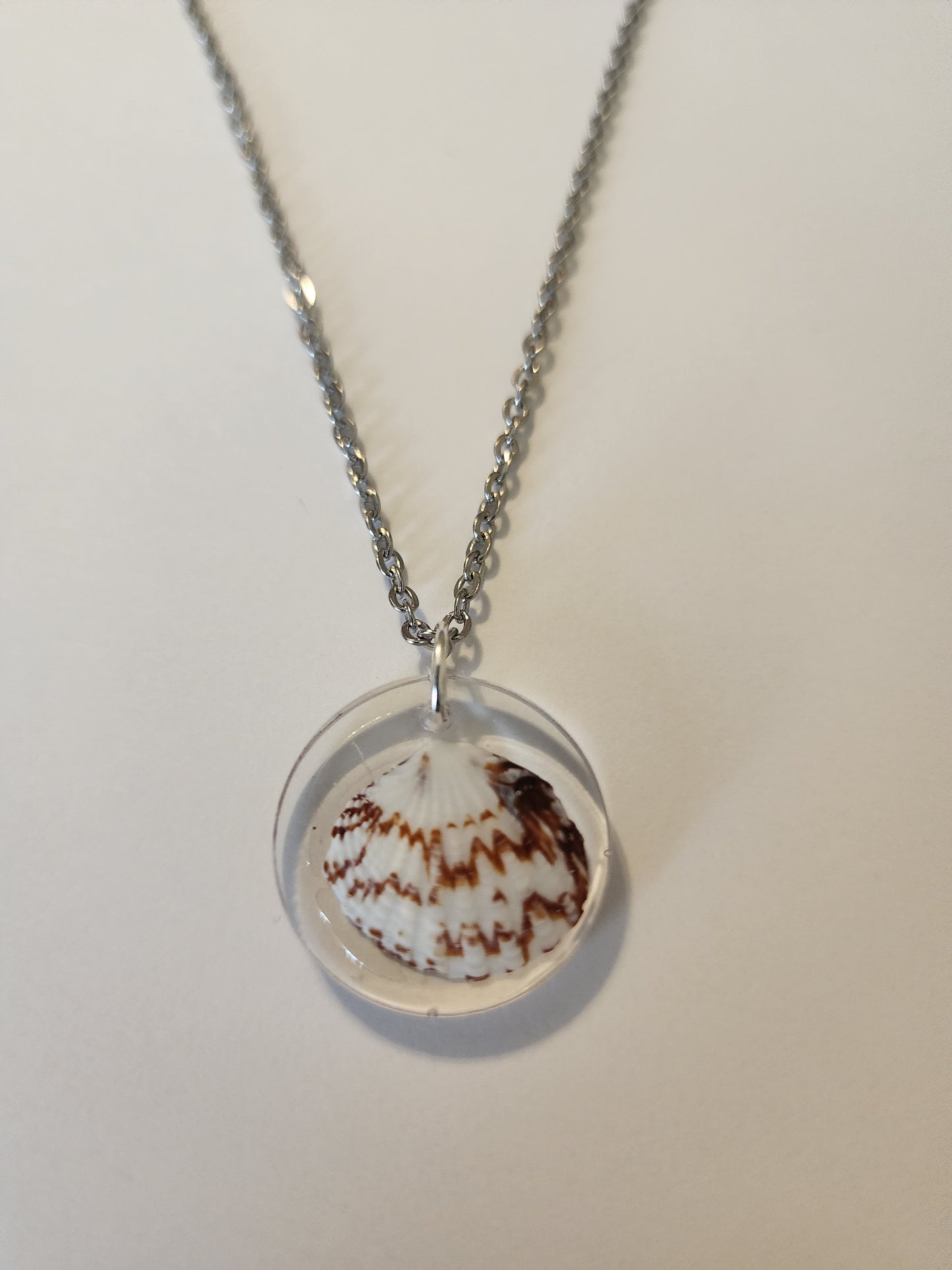 Seashell Necklace