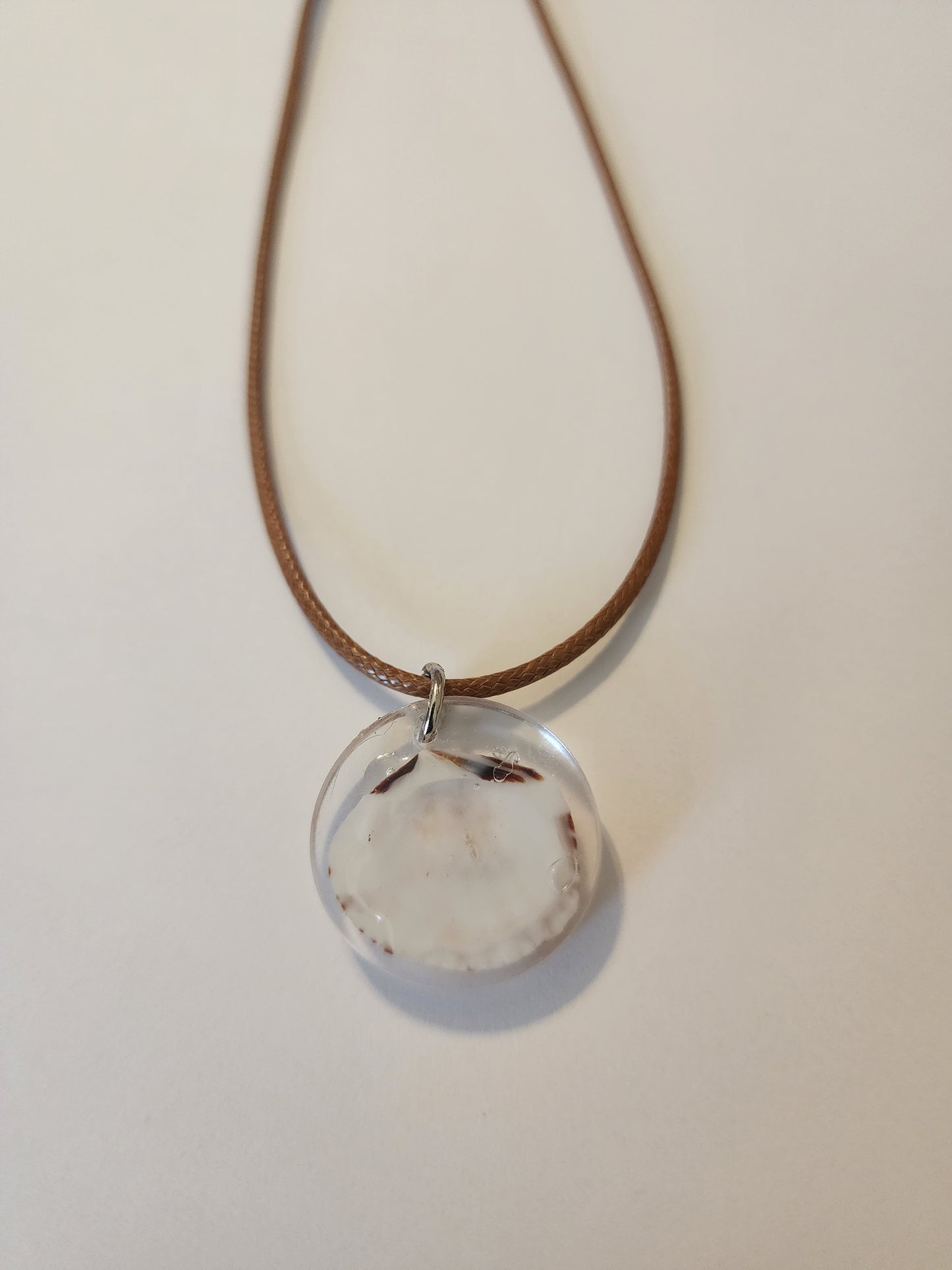 Seashell Necklace