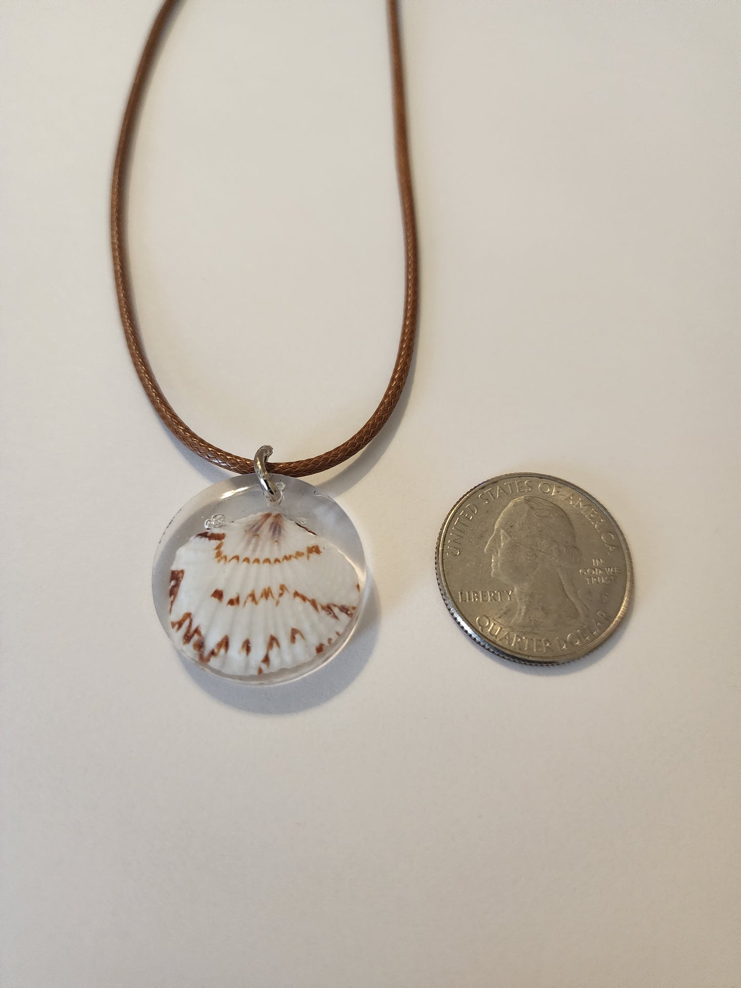 Seashell Necklace