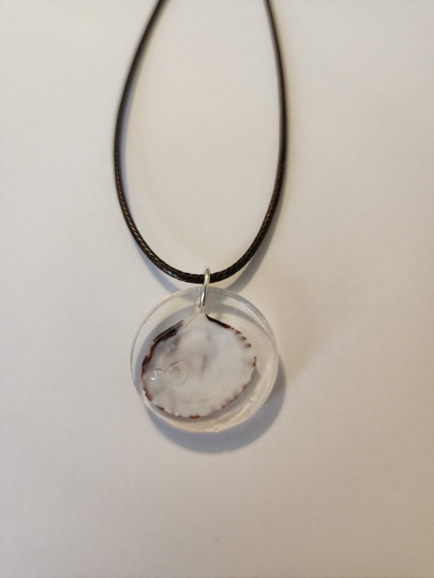Seashell Necklace