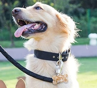 Small bone dog tag(Gold)