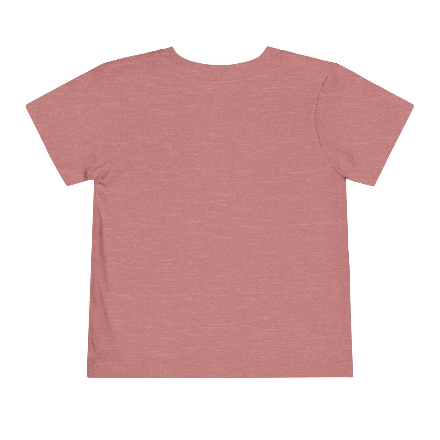 Ready to Rock Pre-K Girl Toddler Tee — Back to School Cat Shirt