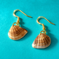 Seashell Earrings